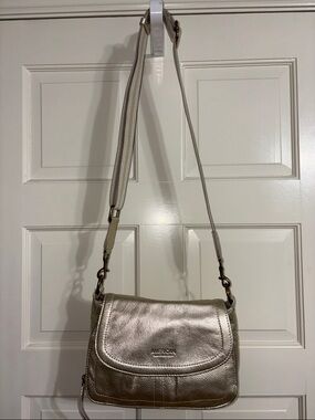 American Leather Co. Metallic Gold Crossbody Bag with Two Straps